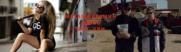 ГАЛЛЮЦИНОГЕННЫЕ ГРИБЫ Ельня
