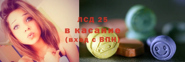 ГАЛЛЮЦИНОГЕННЫЕ ГРИБЫ Ельня