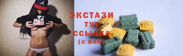ГАЛЛЮЦИНОГЕННЫЕ ГРИБЫ Ельня