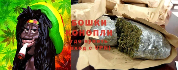 ГАЛЛЮЦИНОГЕННЫЕ ГРИБЫ Ельня