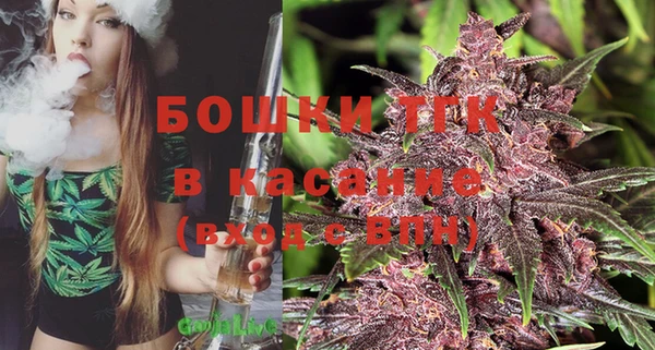 ГАЛЛЮЦИНОГЕННЫЕ ГРИБЫ Ельня