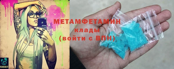 прущие грибы Заводоуковск