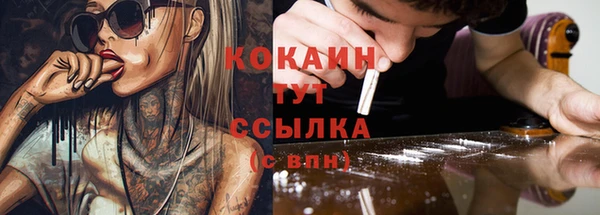 ГАЛЛЮЦИНОГЕННЫЕ ГРИБЫ Ельня